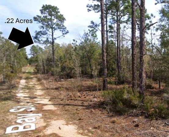 0.22 Acres of Residential Land for Sale in Interlachen, Florida