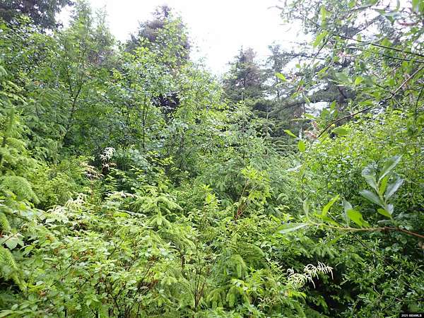 1.5 Acres of Land for Sale in Angoon, Alaska