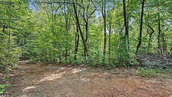 2.83 Acres of Residential Land for Sale in Cherry Log, Georgia