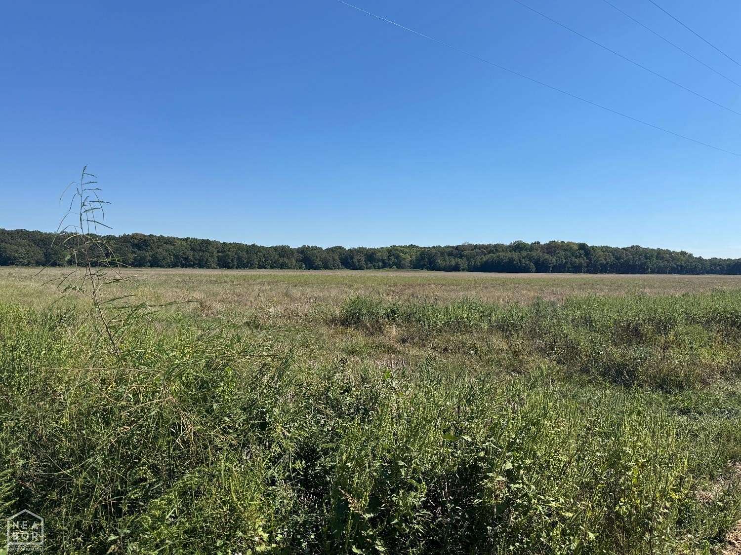 619 Acres of Recreational Land & Farm for Sale in Weiner, Arkansas