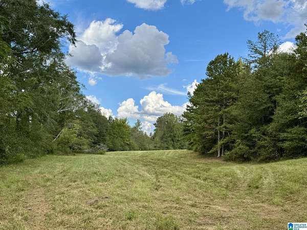 24.7 Acres of Agricultural Land for Sale in Lineville, Alabama