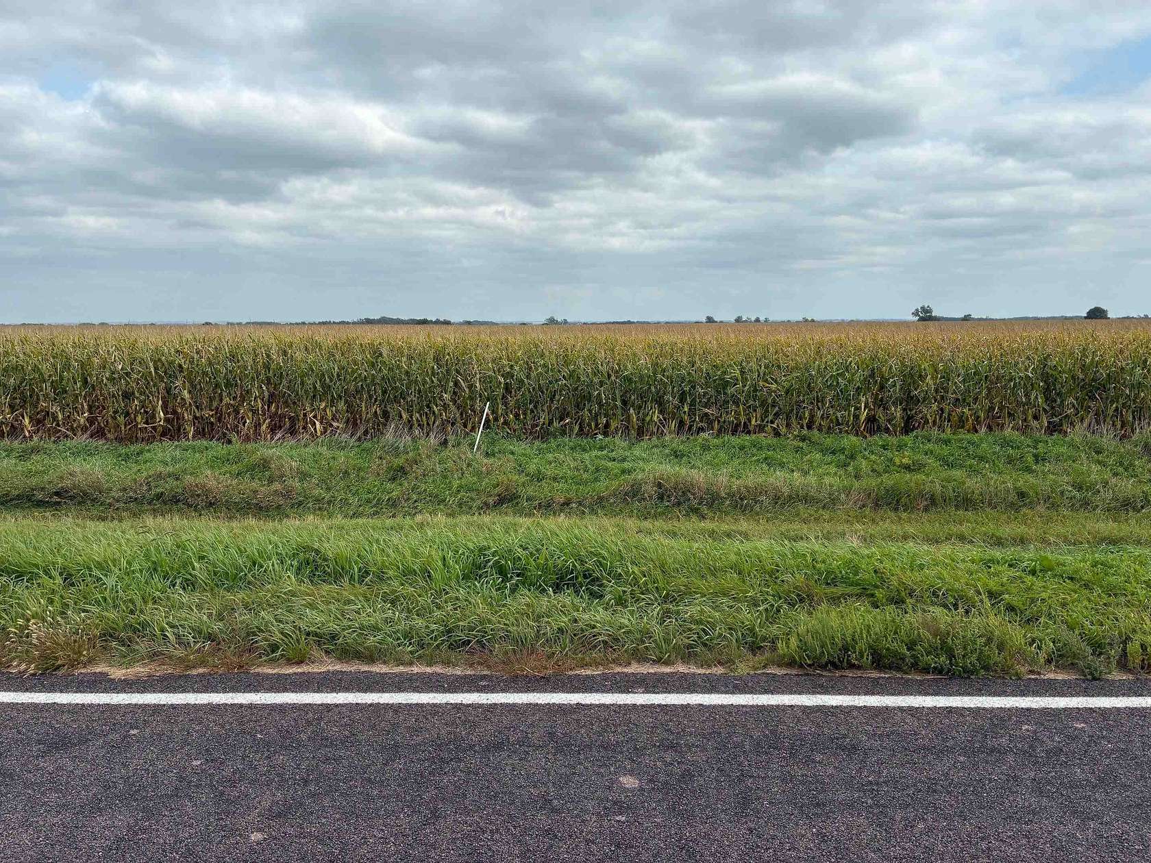 75.6 Acres of Agricultural Land for Sale in Wakonda, South Dakota