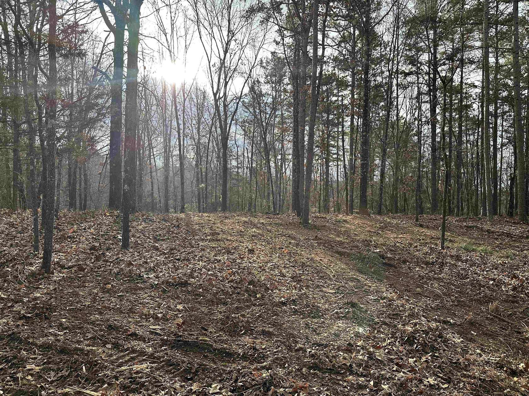 23.9 Acres of Recreational & Residential Land for Sale in Grand Junction, Tennessee