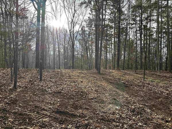 23.9 Acres of Recreational & Residential Land for Sale in Grand Junction, Tennessee