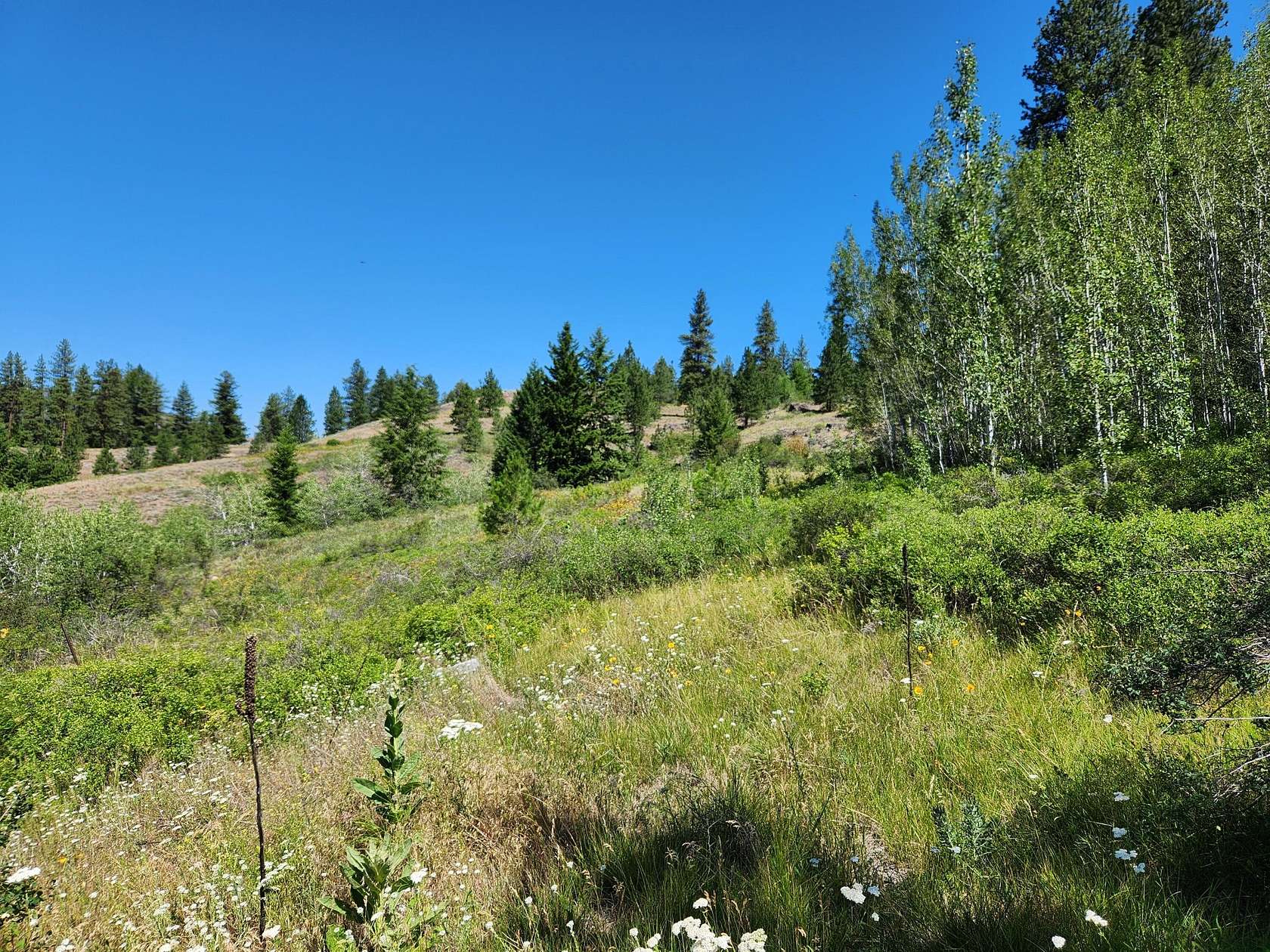 20 Acres of Recreational & Residential Land for Sale in Republic, Washington