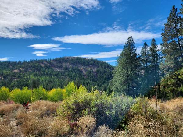 20 Acres of Recreational & Residential Land for Sale in Republic, Washington