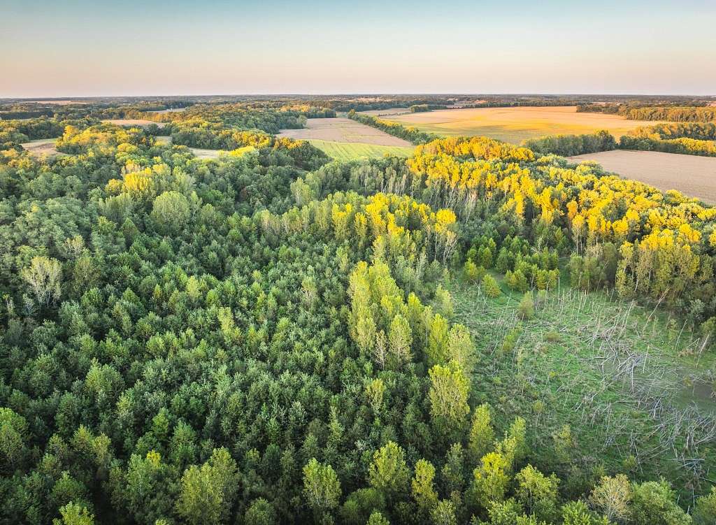 27 Acres of Recreational Land & Farm for Sale in Chesterfield, Illinois