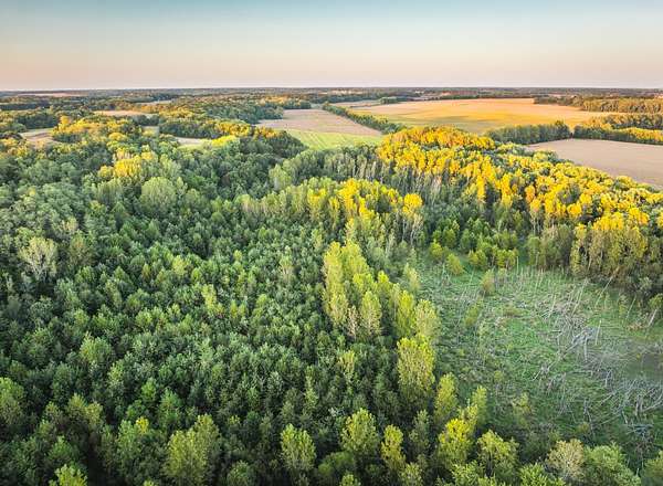 27 Acres of Recreational Land & Farm for Sale in Chesterfield, Illinois