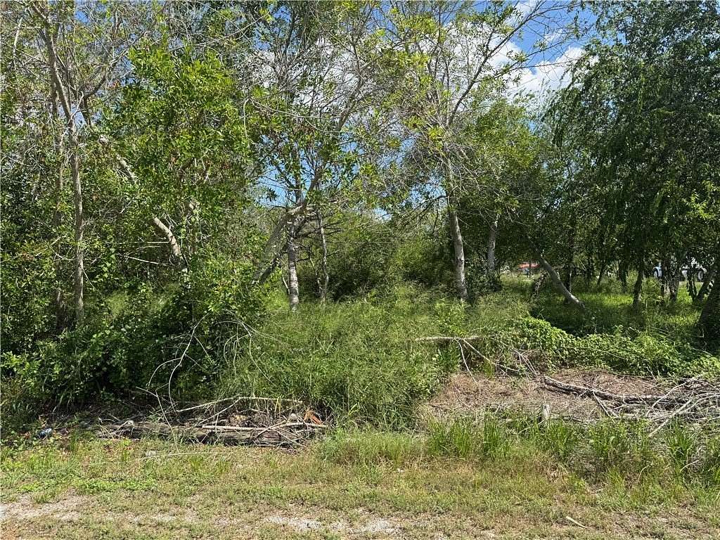 0.77 Acres of Land for Sale in Taft, Texas