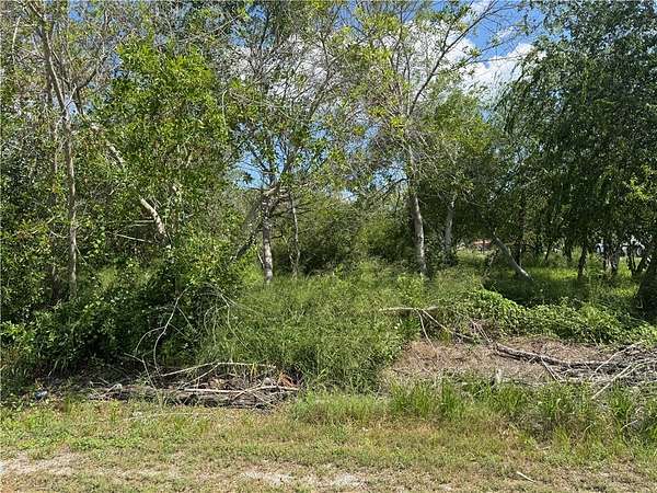 0.77 Acres of Land for Sale in Taft, Texas