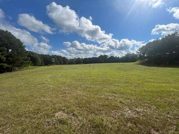 58 Acres of Recreational Land for Sale in State Line, Mississippi