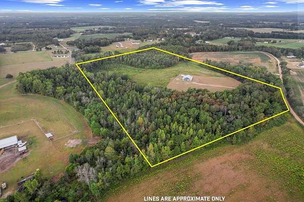 28 Acres of Recreational Land with Home for Sale in Slocomb, Alabama