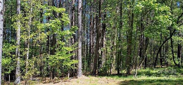 0.76 Acres of Residential Land for Sale in Valdese, North Carolina