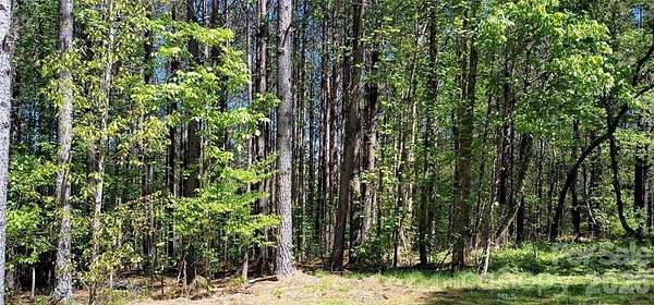 0.76 Acres of Residential Land for Sale in Valdese, North Carolina