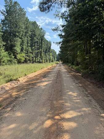 41 Acres of Recreational Land for Sale in Raleigh, Mississippi