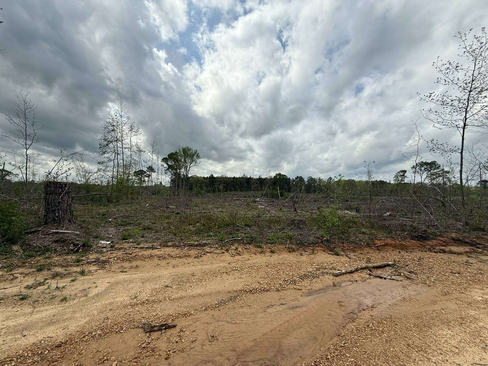 38 Acres of Recreational Land & Farm for Sale in Forest, Mississippi