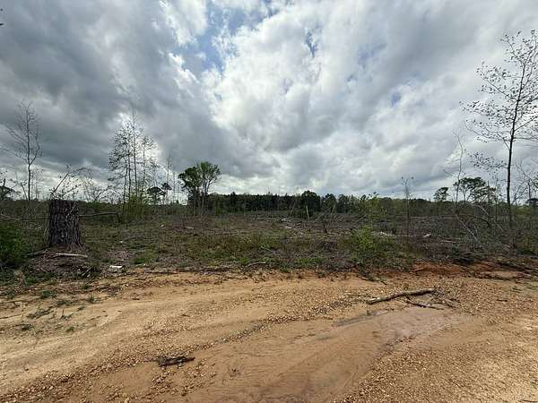 38 Acres of Recreational Land & Farm for Sale in Forest, Mississippi