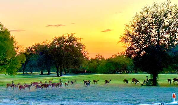 0.1 Acres of Land for Sale in Brackettville, Texas