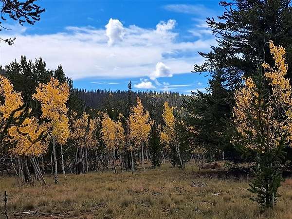 1 Acre of Residential Land for Sale in Como, Colorado