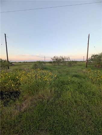 1 Acre of Residential Land for Sale in Taft, Texas