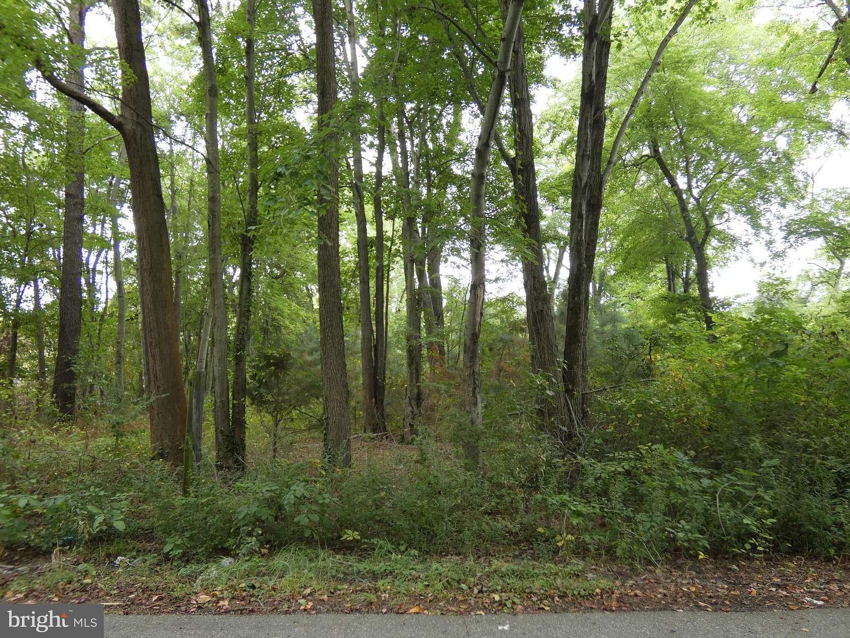 0.46 Acres of Residential Land for Sale in Rock Hall, Maryland