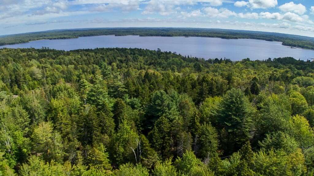 23 Acres of Recreational Land for Sale in East Machias, Maine