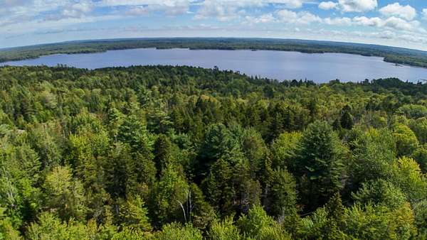 23 Acres of Recreational Land for Sale in East Machias, Maine