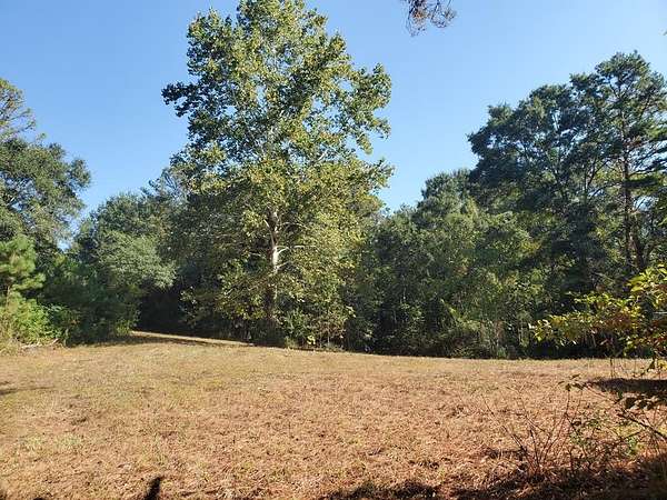 6.1 Acres of Residential Land for Sale in Troy, Alabama