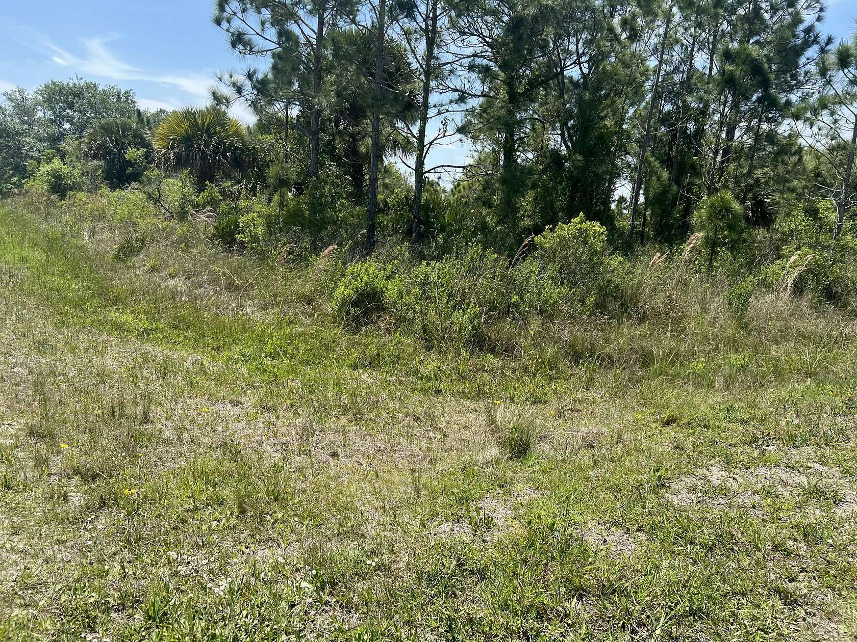 1.5 Acres of Residential Land for Sale in Okeechobee, Florida