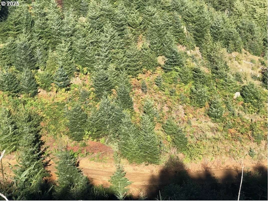 41.2 Acres of Recreational Land for Sale in Seaside, Oregon