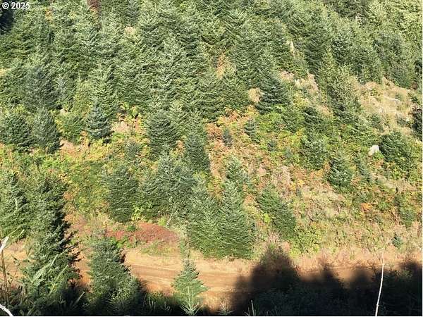 41.2 Acres of Recreational Land for Sale in Seaside, Oregon