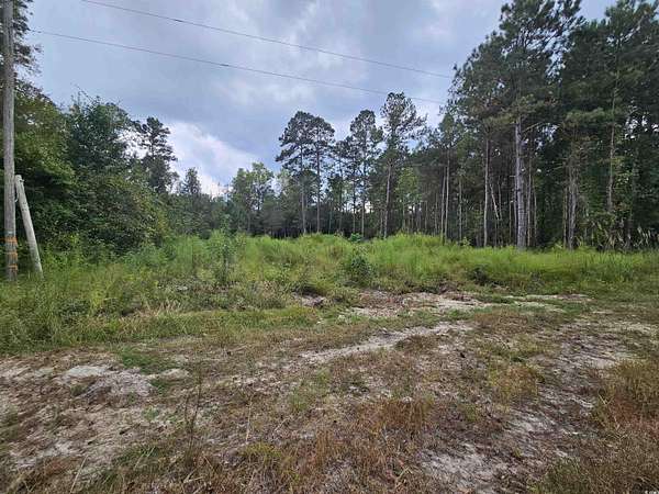 0.69 Acres of Residential Land for Sale in Marion, South Carolina