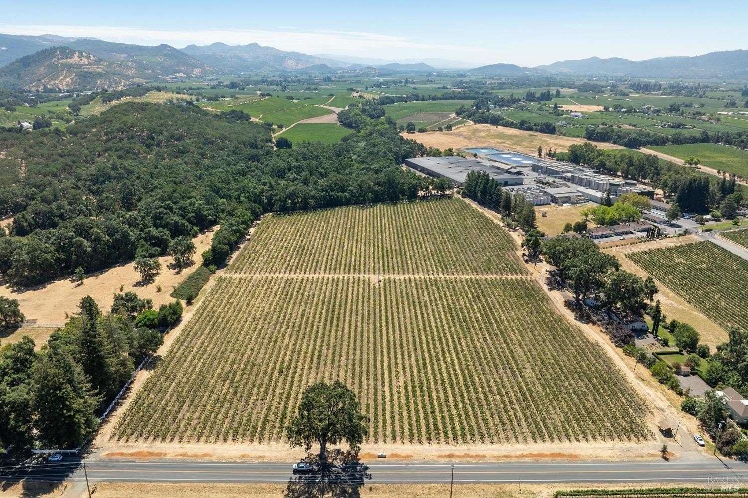 17.2 Acres of Agricultural Land for Sale in St. Helena, California