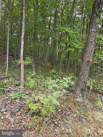 0.48 Acres of Residential Land for Sale in Front Royal, Virginia