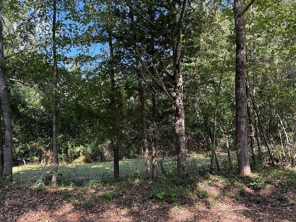 11.3 Acres of Land for Sale in Hamilton, Georgia