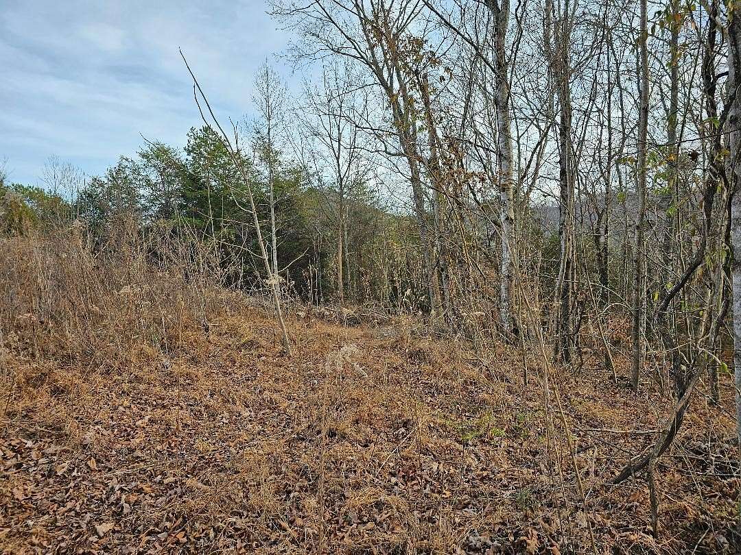 13.7 Acres of Land for Sale in Washburn, Tennessee