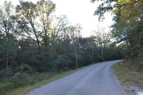 13 Acres of Land for Sale in Talladega, Alabama