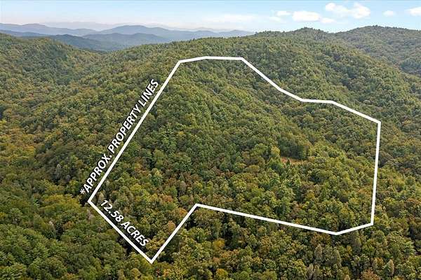 12.6 Acres of Land for Sale in Chatsworth, Georgia