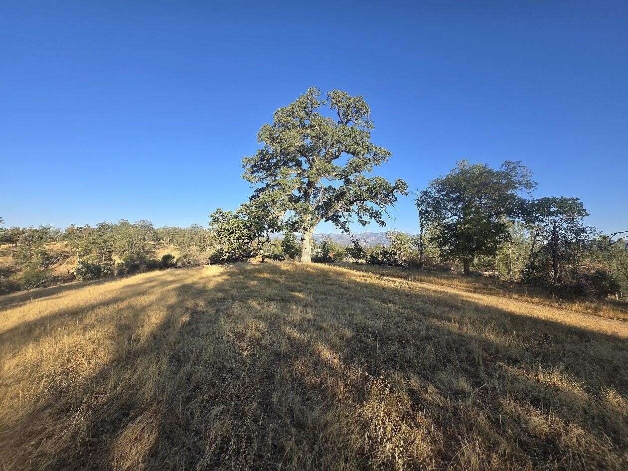 10 Acres of Land for Sale in Igo, California