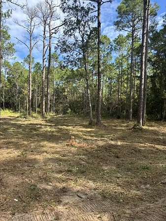 0.43 Acres of Residential Land for Sale in Santa Rosa Beach, Florida