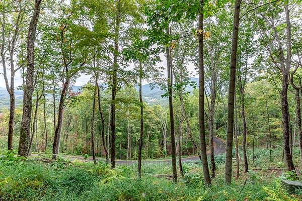 1.26 Acres of Residential Land for Sale in Hiawassee, Georgia