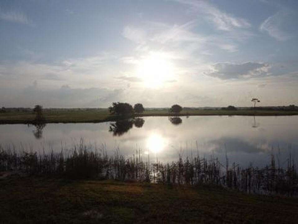 Residential Land for Sale in Palm City, Florida