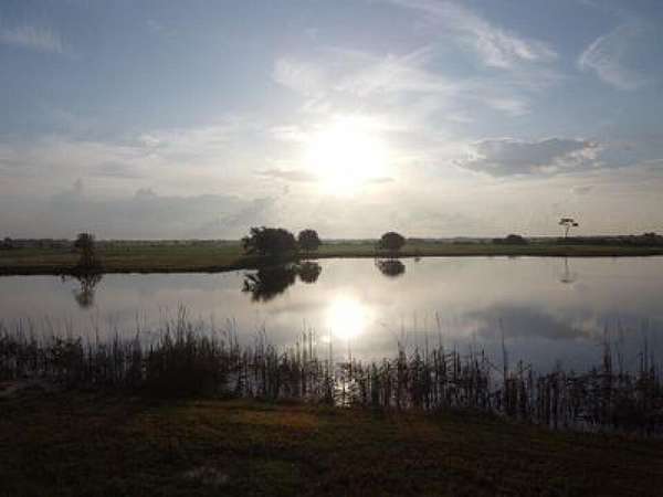 4.76 Acres of Residential Land for Sale in Palm City, Florida