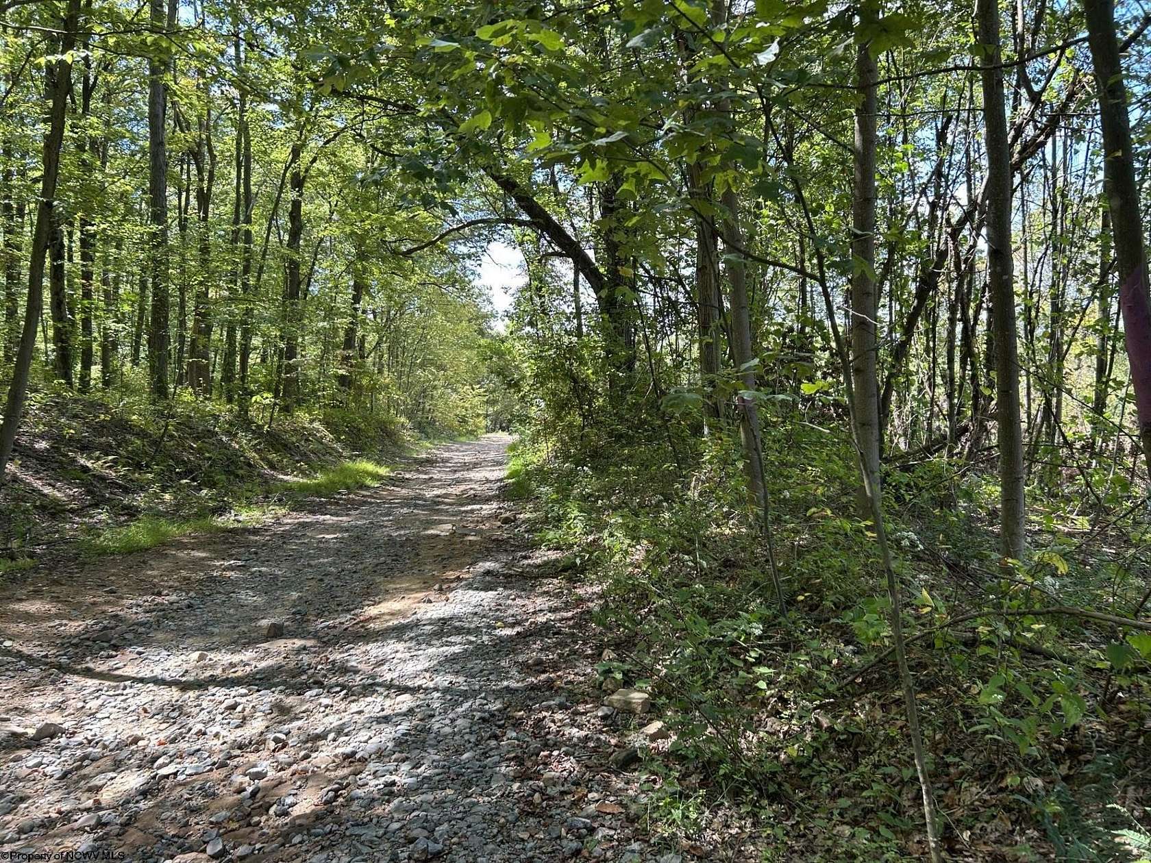 13.5 Acres of Land for Sale in Terra Alta, West Virginia