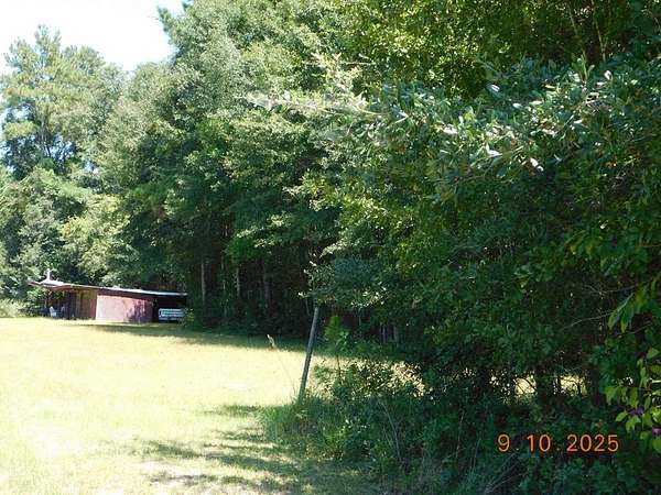 4 Acres of Residential Land for Sale in Pelham, Georgia