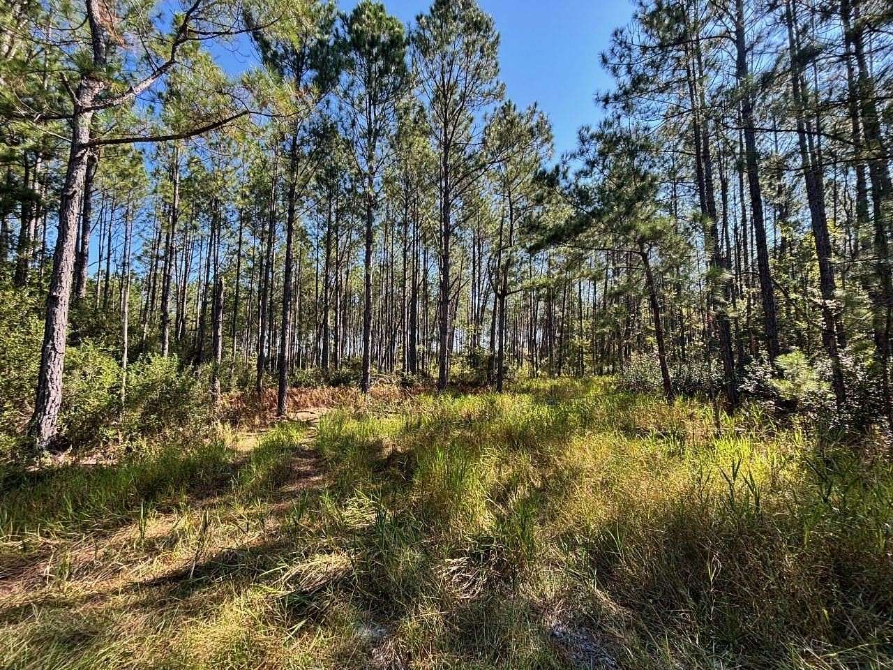 97 Acres of Recreational Land with Home for Sale in Greenville, Florida