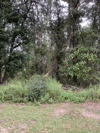 0.51 Acres of Residential Land for Sale in Madison, Florida