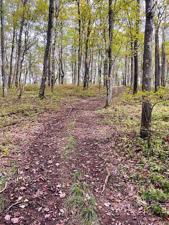 4 Acres of Residential Land for Sale in Terra Alta, West Virginia
