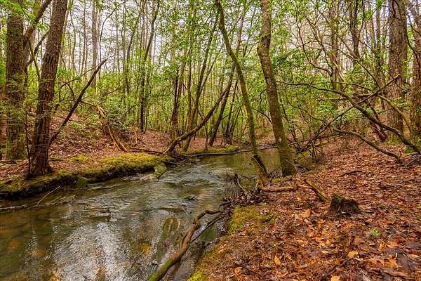 7.58 Acres of Residential Land for Sale in Monteagle, Tennessee