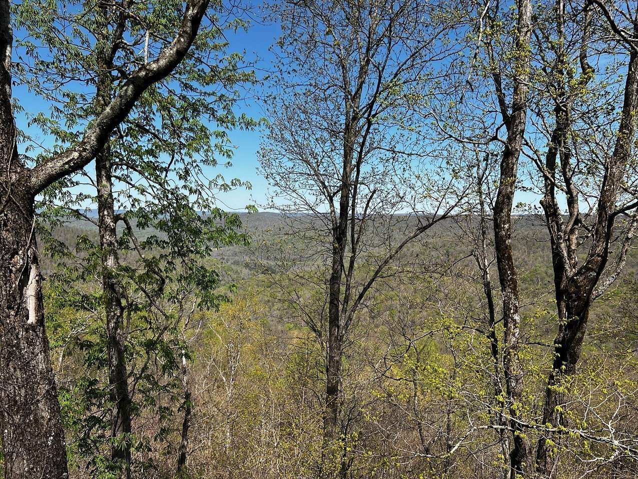 22.5 Acres of Recreational Land for Sale in Altamont, Tennessee